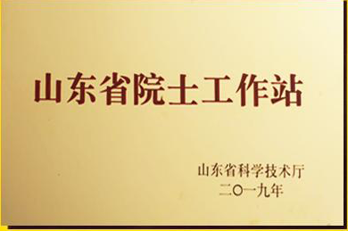 2019年5月,魯商鄉村發展集團院士工作站正式獲批